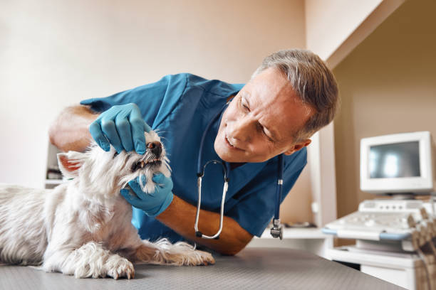 Best After-Hours Dental Care in Shiprock, NM